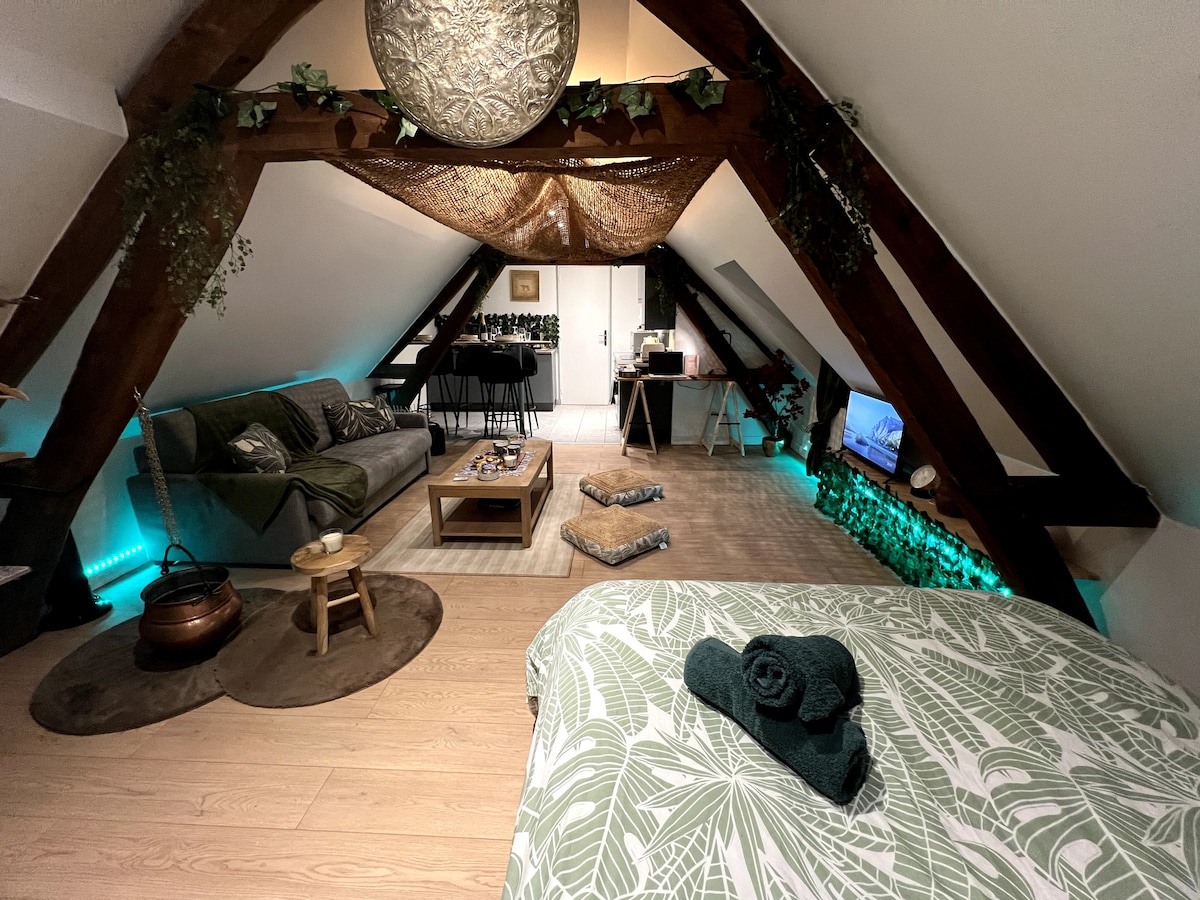 Photo du logement