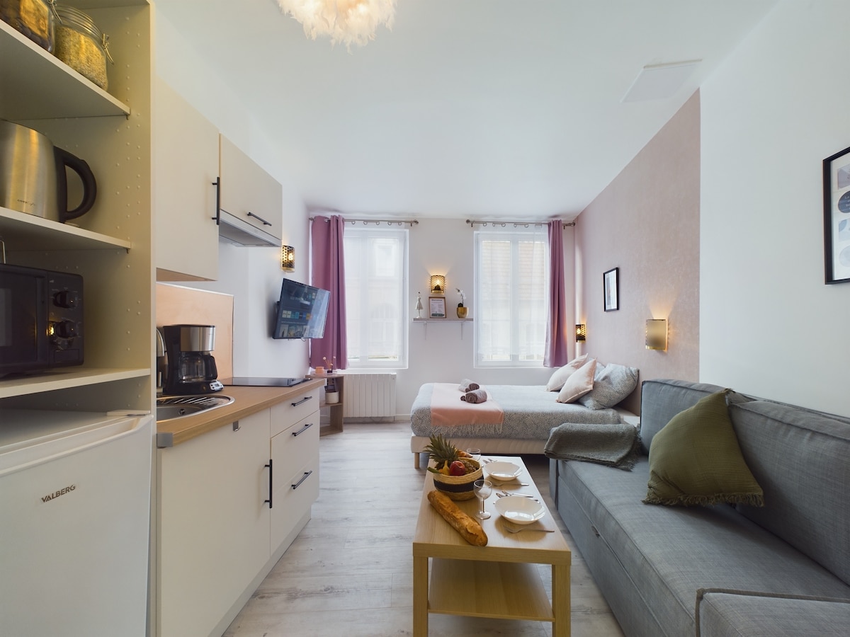 Delphin Nid - 3 — location à Compiègne · photo 13