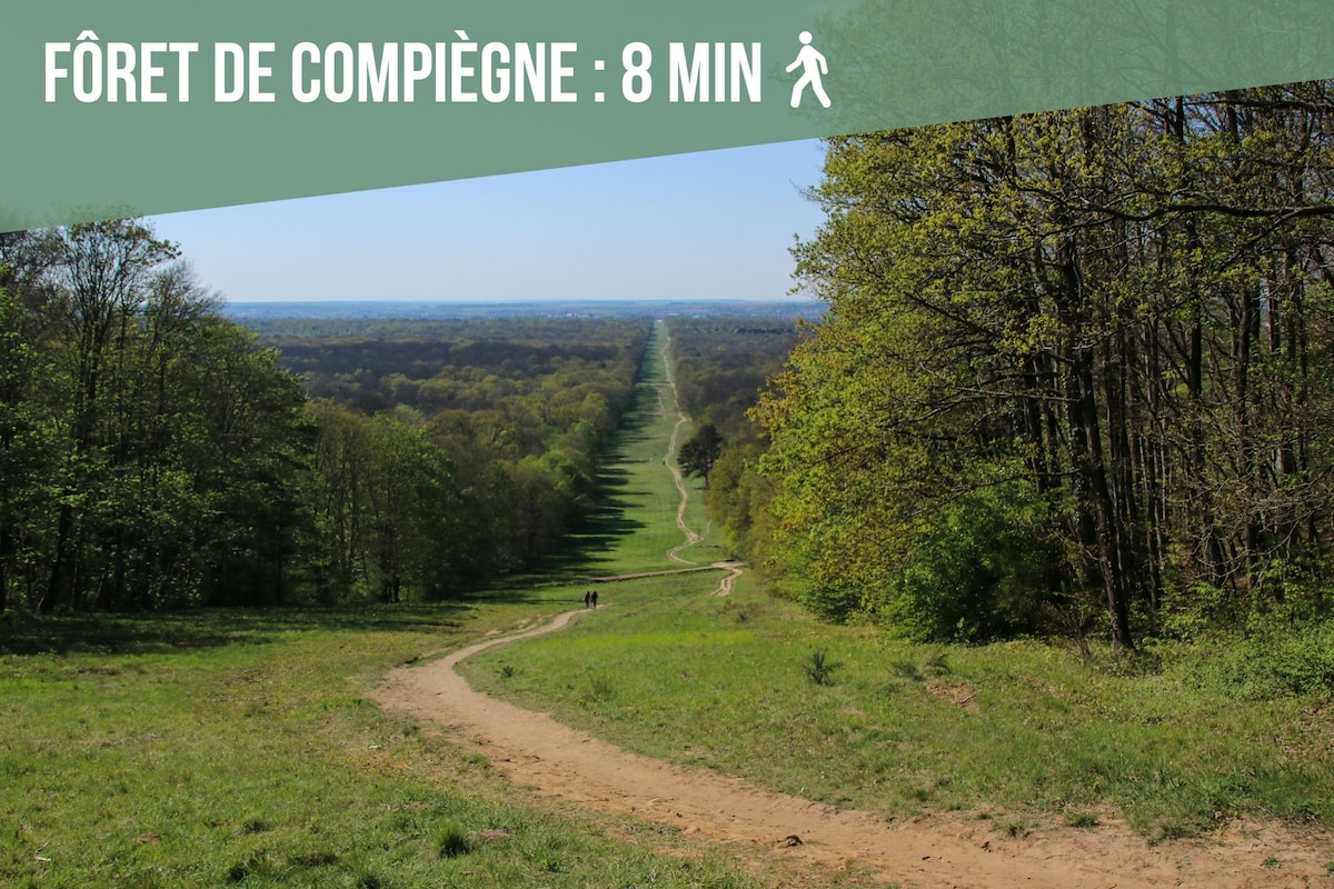 Delphin Nid - 3 — location à Compiègne · photo 15