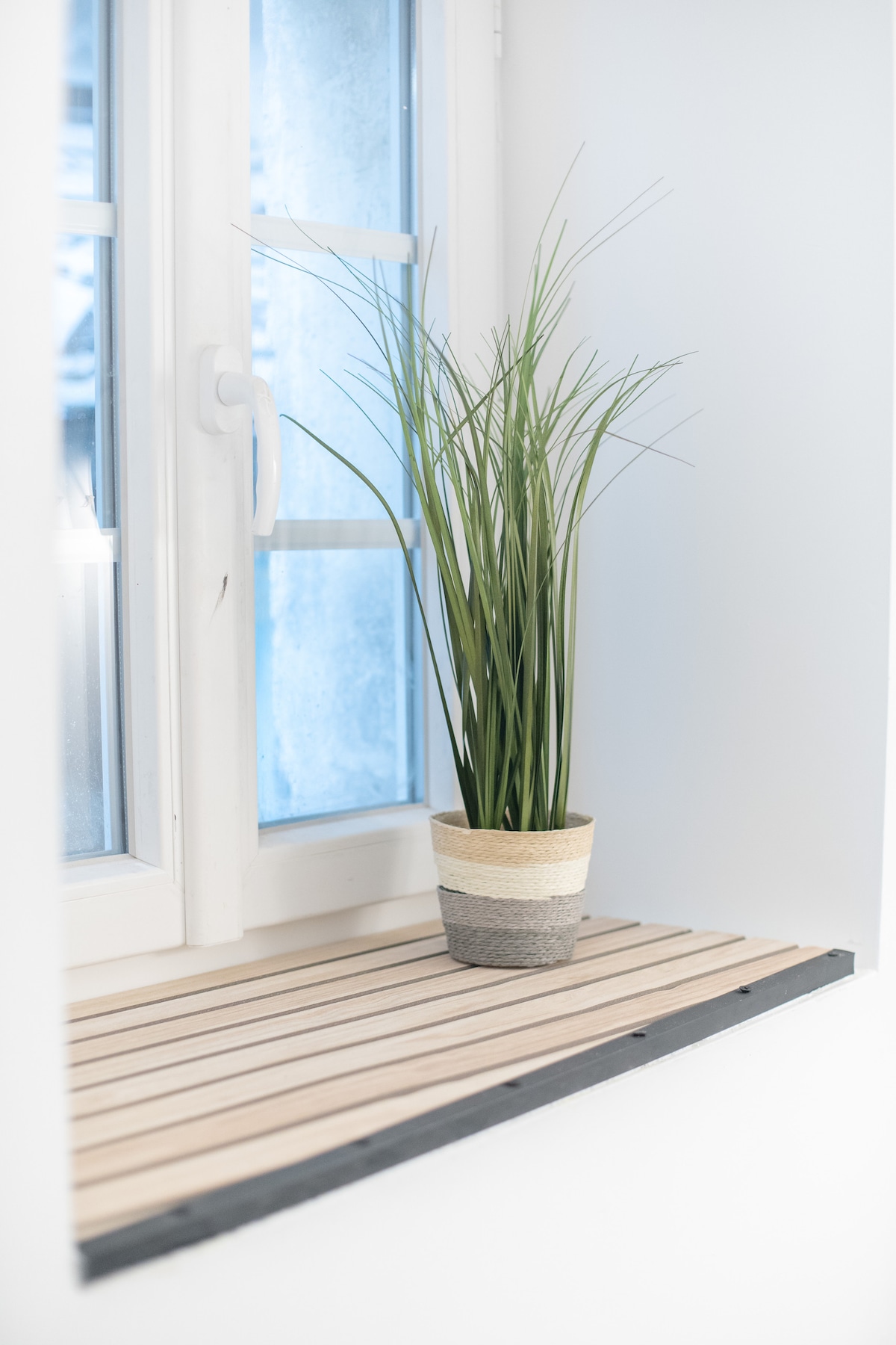 Delphin Zen - 1 — location à Compiègne · photo 9