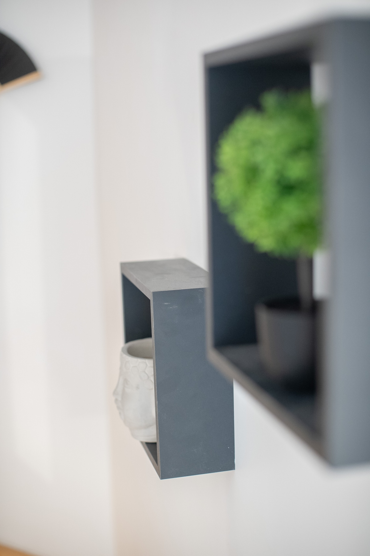 Delphin Zen - 1 — location à Compiègne · photo 10